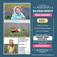 Bluebonnet Minis