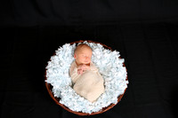 Robinson_Cason (10)
